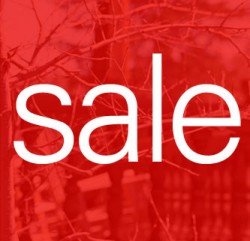 sale_banner1-250x241