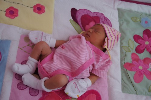 SONY DSC