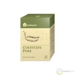 Cordyceps