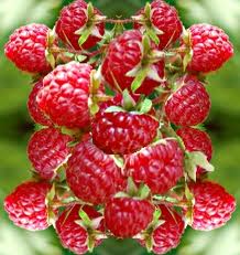 Raspberry Keytones, available at Alive Health Centre and Chains