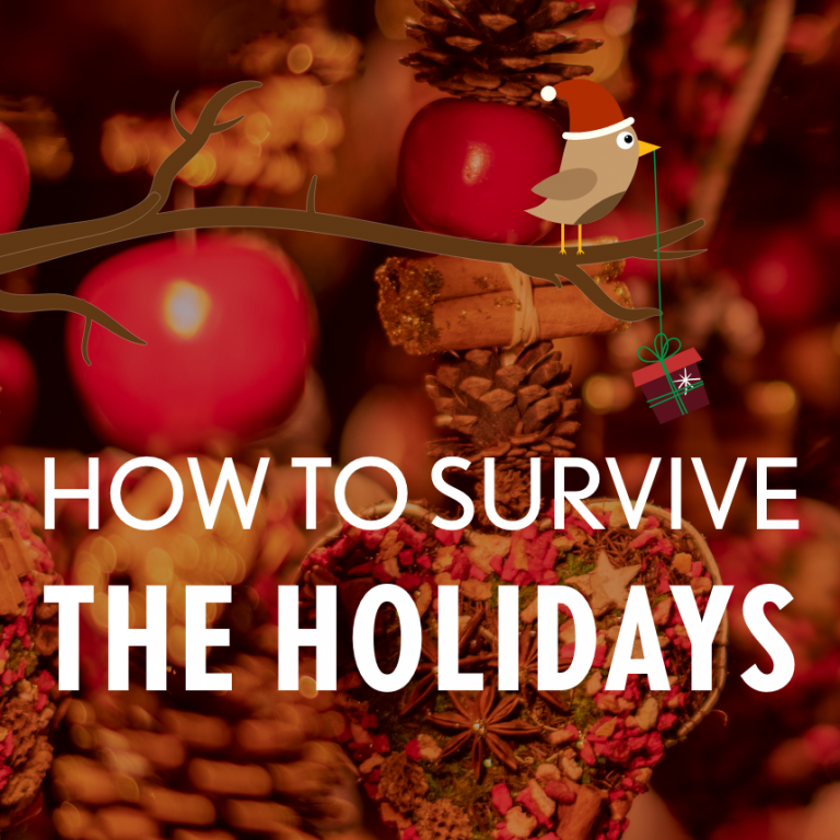 How to Survive the Holidays